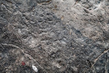 karanlık beton kaba doku, arka plan tasarımı için