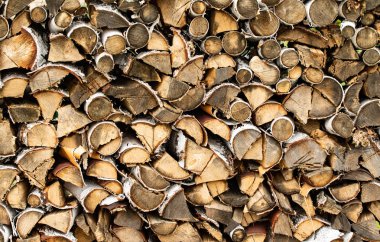 arka planda yığılmış huş yakacak odun