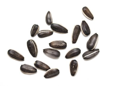 Beyaz arkaplanda izole edilmiş ayçiçeği tohumları