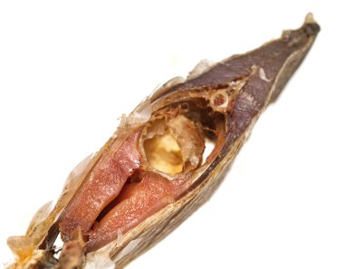 tuzlu balık beyaz zemin üzerine bira için kurutulmuş