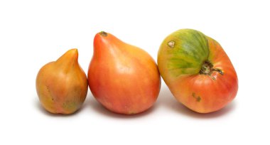 Beyaz arkaplanda izole edilmiş domates