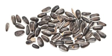 Beyaz arka plan üzerinde izole gri Ayçekirdeği