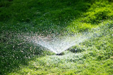 Bokeh arka plan ile yeşil çim sulama ufuk, sulama sistemi.