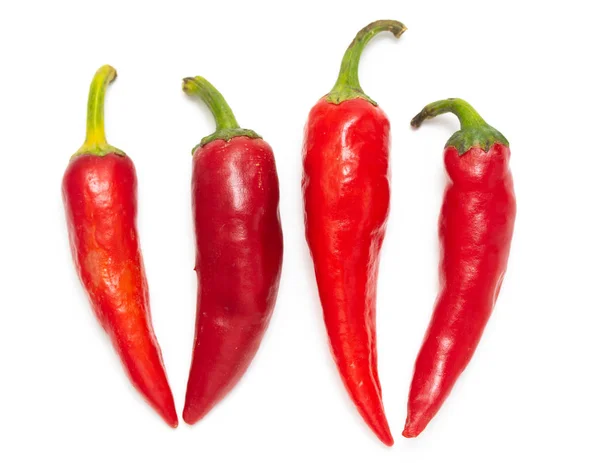 Piros Erős Paprika Elszigetelt Fehér Background — Stock Fotó