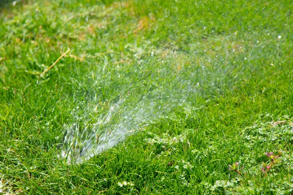 Oskärpa Bevattningssystem Vattning Det Gröna Gräset Med Bokeh Bakgrund — Stockfoto