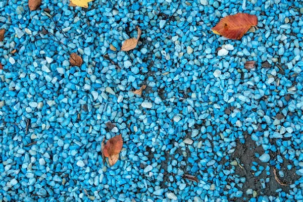 Blaue Kieselsteine Und Blätter Eines Baumes — Stockfoto
