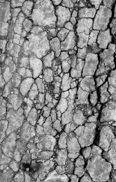 Cracked Earth Background Texture — Stock Photo, Image
