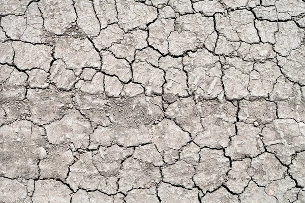 裂开的干燥的地球 抽象的背景 — 图库照片