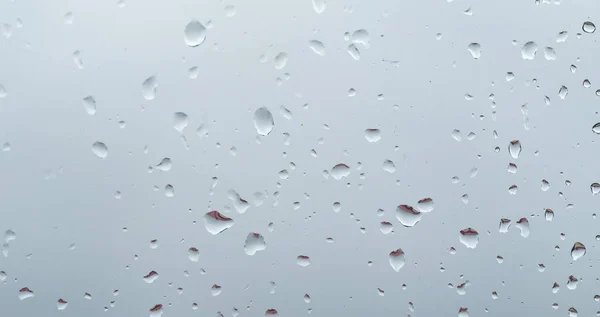 raindrops on the glass background