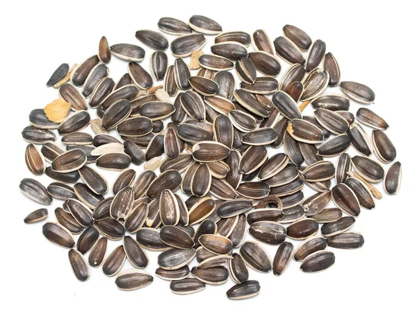 Gray Sunflower Seeds Isolated White Background — Stock Photo, Image