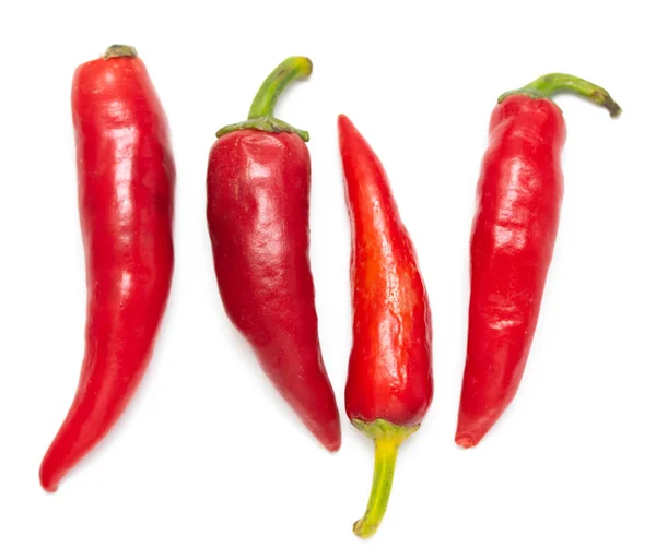 Red Hot Pepper Isolated White Background — Stock Photo, Image