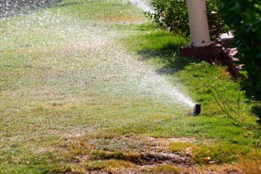 Bokeh arka plan ile yeşil çim sulama ufuk, sulama sistemi.