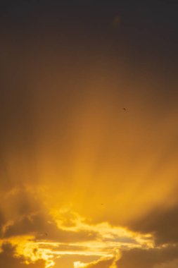 sarı güneş ışınları günbatımı bulutlar