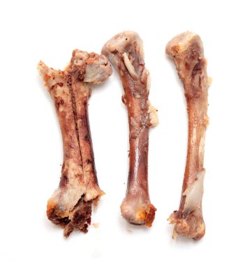 Beyaz bir arka plan üzerinde kemik tavuk