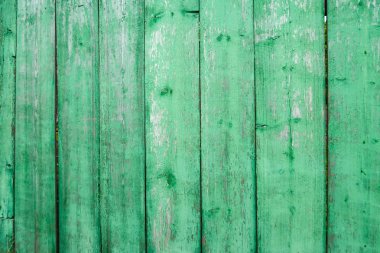 eski ahşap çit arka plan yeşil boya