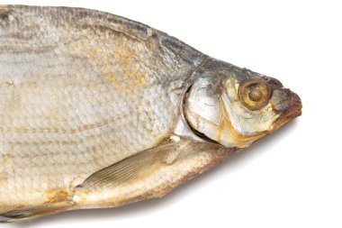 Çipura balık beyaz zemin üzerine kurutulmuş