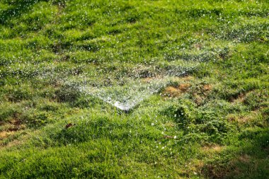 Bokeh arka plan ile yeşil çim sulama ufuk, sulama sistemi.
