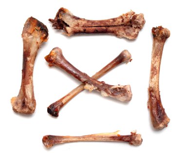 Beyaz bir arka plan üzerinde kemik tavuk