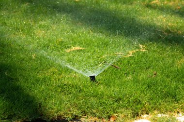 Bokeh arka plan ile yeşil çim sulama ufuk, sulama sistemi.