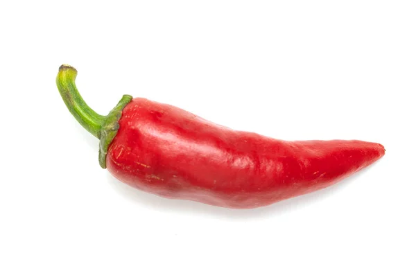 Piros Erős Paprika Elszigetelt Fehér Background — Stock Fotó