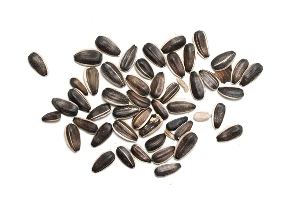 Gray Sunflower Seeds Isolated White Background — Stock Photo, Image