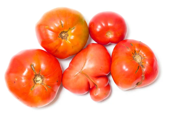 Tomaten Isoliert Auf Weißem Hintergrund — Stockfoto