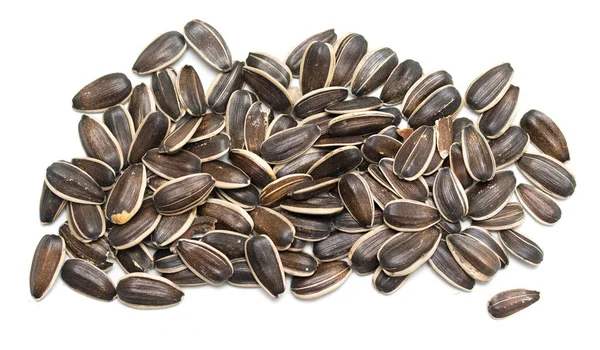 Gray Sunflower Seeds Isolated White Background — Stock Photo, Image