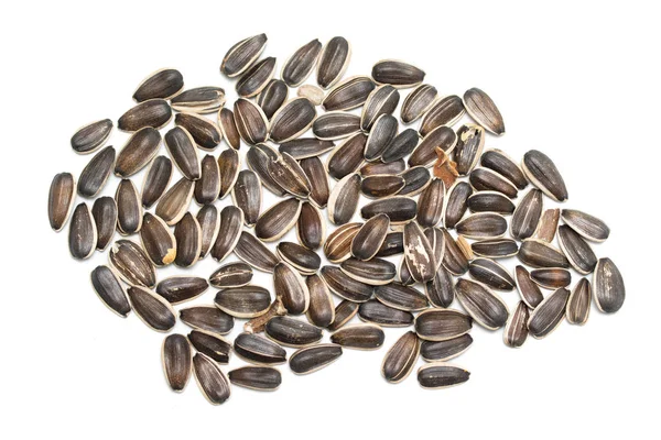 Gray Sunflower Seeds Isolated White Background — Stock Photo, Image