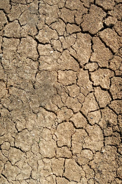 Clay Aarde Spleten Van Droogte — Stockfoto