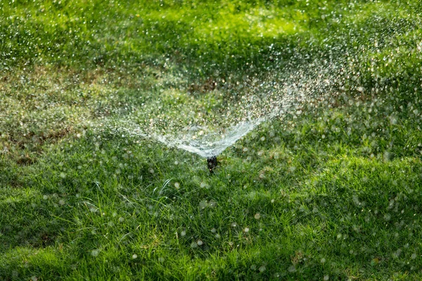Sfocato Sistema Irrigazione Innaffiare Erba Verde Con Sfondo Bokeh — Foto Stock