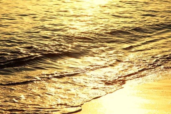 Intreepupil Bokeh Zanderige Strand Gouden Zonsondergang — Stockfoto