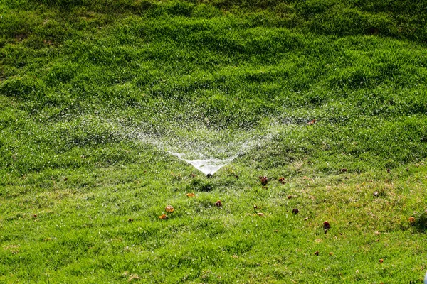 Desenfocado Sistema Riego Riego Hierba Verde Con Fondo Bokeh —  Fotos de Stock