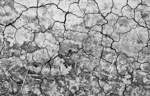 Cracked Earth Background Texture — Stock Photo, Image