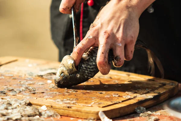 Mains Propres Avec Couteau Poisson Frais — Photo