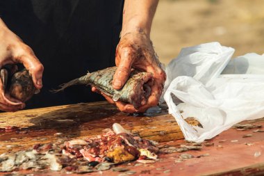 temiz bir bıçak taze balık ile eller