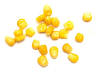 Beyaz arkaplanda izole mısır tohumları