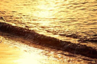 ufuk bokeh, kumlu plaj altın günbatımı