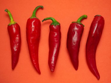 İzole kırmızı sıcak biber biber