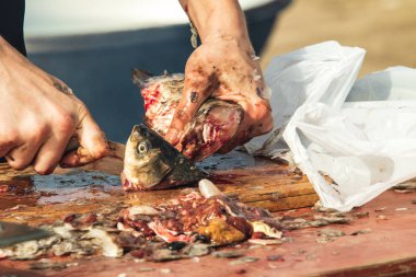 temiz bir bıçak taze balık ile eller