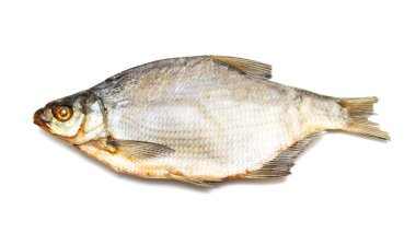 Çipura balık beyaz zemin üzerine kurutulmuş