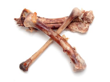 Beyaz bir arka plan üzerinde kemik tavuk