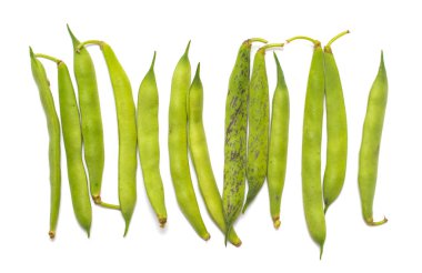 Beyaz arkaplanda yeşil fasulye