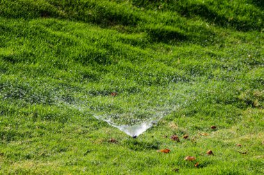 Bokeh arka plan ile yeşil çim sulama ufuk, sulama sistemi.
