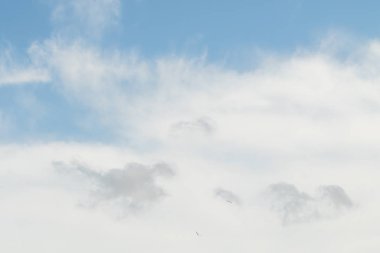 mavi gökyüzü ve beyaz bulutlar gün