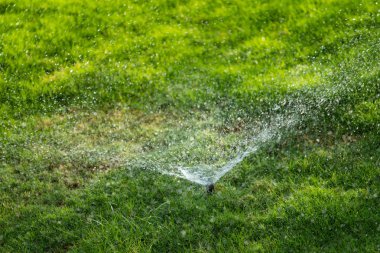 Bokeh arka plan ile yeşil çim sulama ufuk, sulama sistemi.