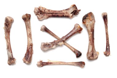 Beyaz bir arka plan üzerinde kemik tavuk