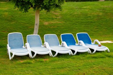 Şezlong üzerinde yeşil çim turistler için bekliyor. Tropik sahil lüks resort Hotel'de görüntülemek.