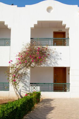 Mısır binanın beyaz evler