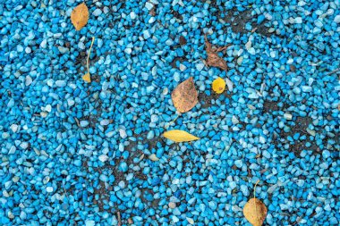 mavi taş ve ağaç yaprakları