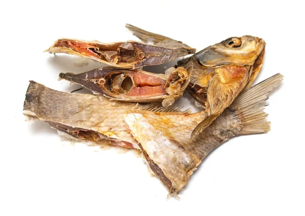 Ryby Solone Suszone Piwa Białym Tle — Zdjęcie stockowe